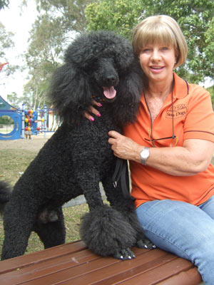 A black poodle and her handler
