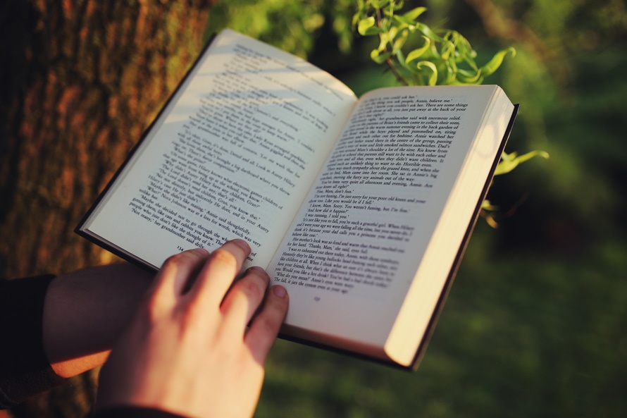 Person holding a book with a tree in the background