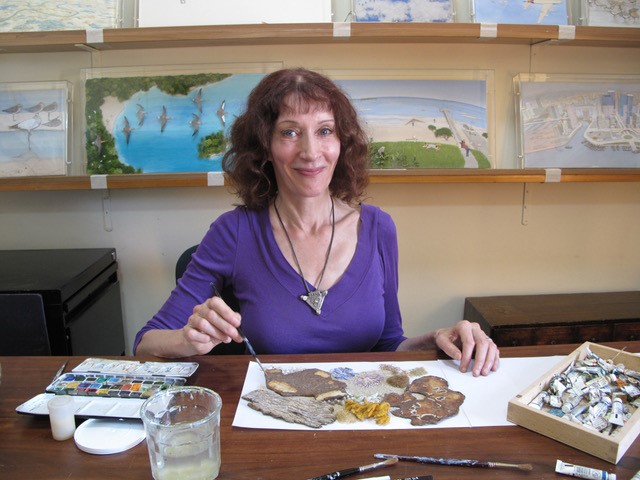 Jeannie Baker creating some artwork