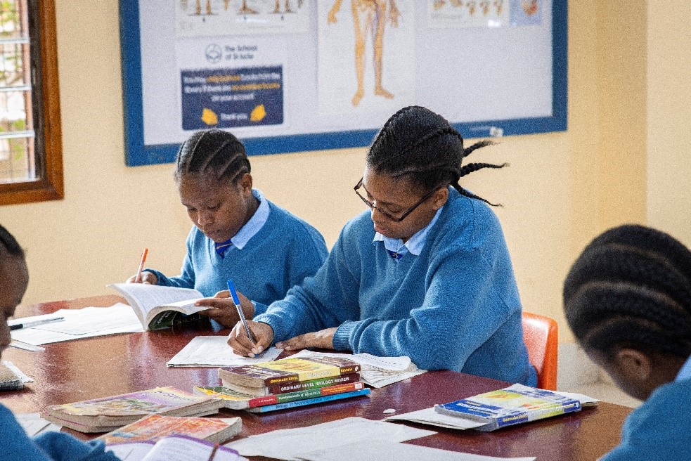 Students working in the library